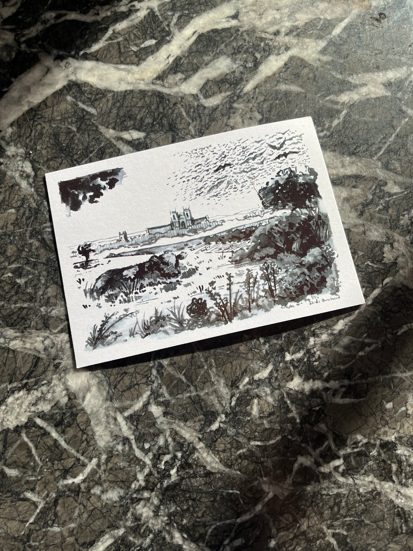 The Westwood Postcard/Prints